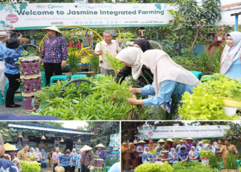 Kunjungi Jasmine Integrated Farming Bandung, Peserta Sesparlu Dorong Promosi ke Tingkat Internasional