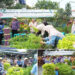 Kunjungi Jasmine Integrated Farming Bandung, Peserta Sesparlu Dorong Promosi ke Tingkat Internasional